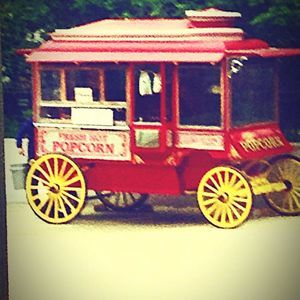 Meet your Posher, Allison